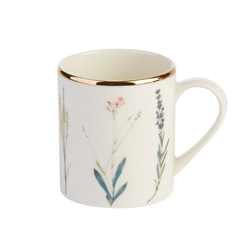 Botanical Cup 25cl - Pack 6