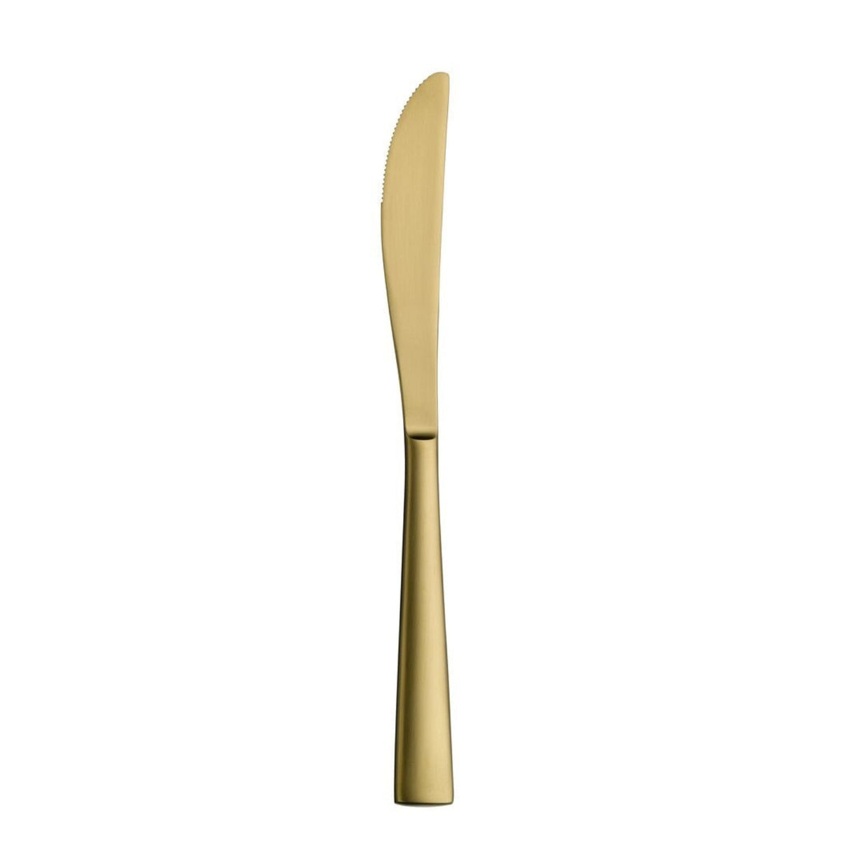 Accent_PVD_Gold_Brushed_Table_Knife_23.2cm_(9 1/7")_-_Pack_12