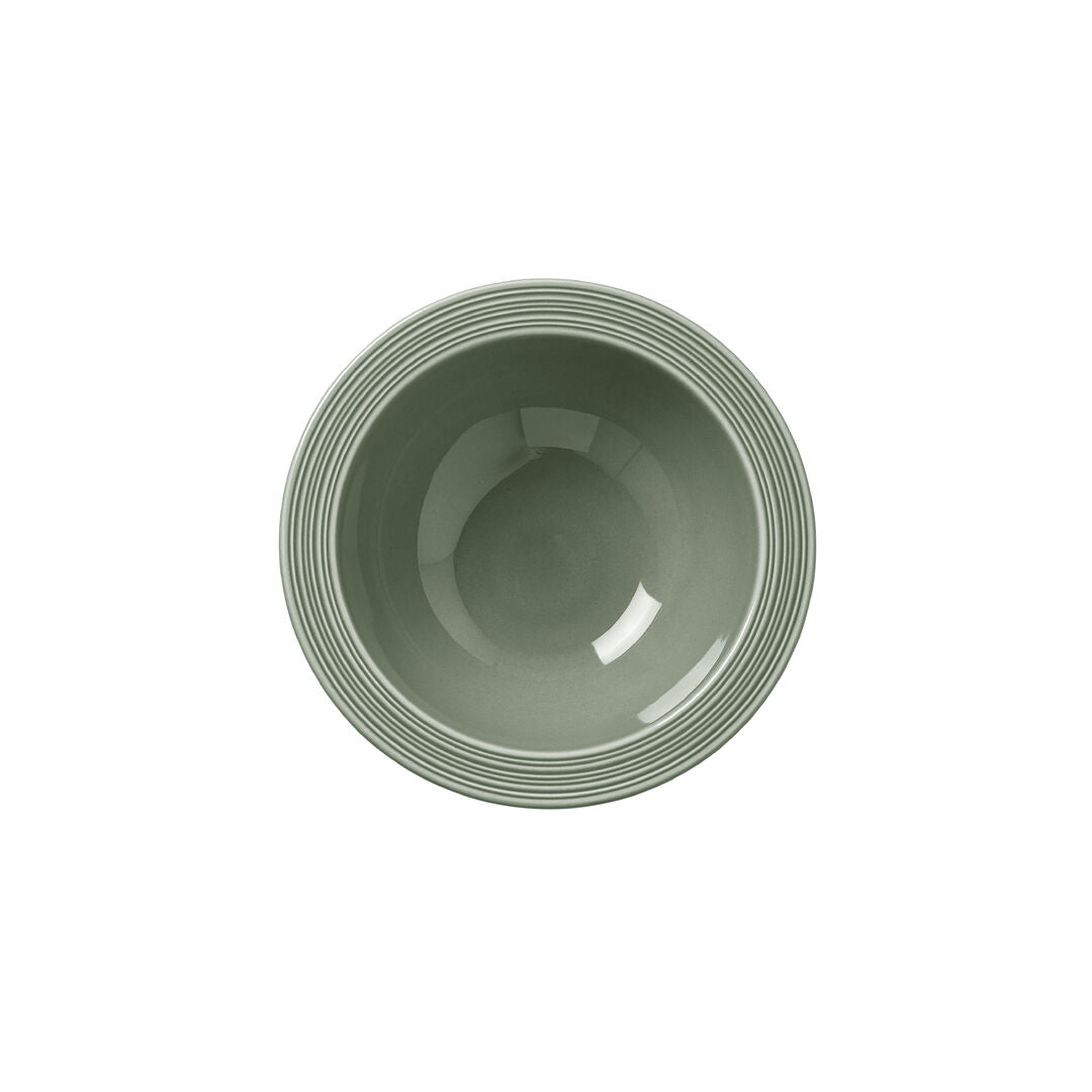 Concorde Fern Oatmeal Bowl 16.5cm 51.5cl (6 1/2" 18 1/9oz) - Pack 12