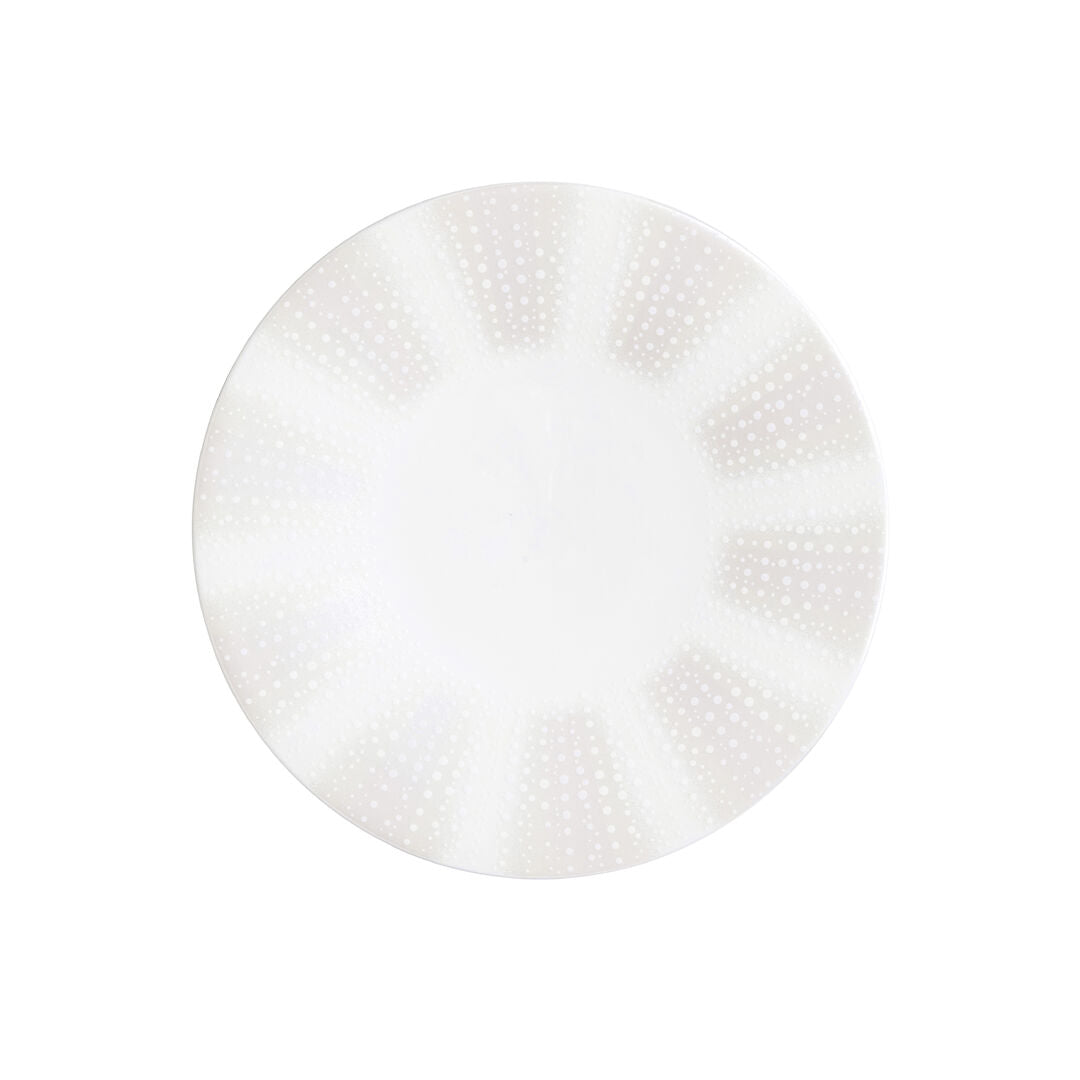 Quill Snipe Plate 22cm (8 3/4") - Pack 12