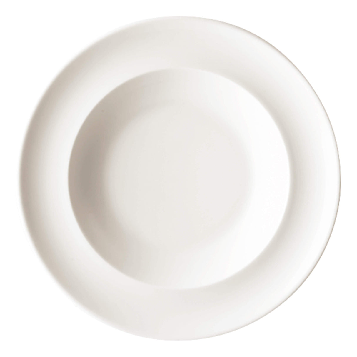 Academy Soup/Pasta Plate 30cm/12"