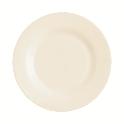 Intensity Plate 8" - 24 Pack