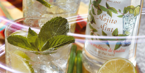 MONIN MOJITO MINT RECIPE IDEAS