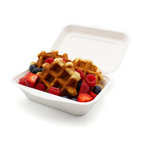 Bagasse Packaging