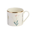 Botanical Cup 18cl - Pack 6