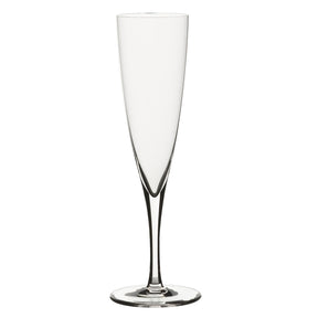 Classic Champagne Flute 6.25oz (17.75cl) - Pack 24