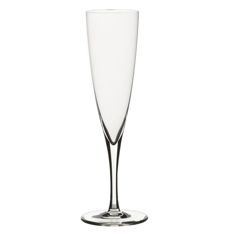Classic Champagne Flute 6.25oz (17.75cl) - Pack 24