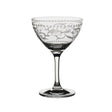 Vintage Dots Martini/Champagne 8.5oz (24.5cl) - Pack 24