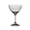 Vintage Dots Martini/Champagne 8.5oz (24.5cl) - Pack 24