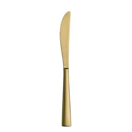 Accent_PVD_Gold_Brushed_Table_Knife_23.2cm_(9 1/7")_-_Pack_12