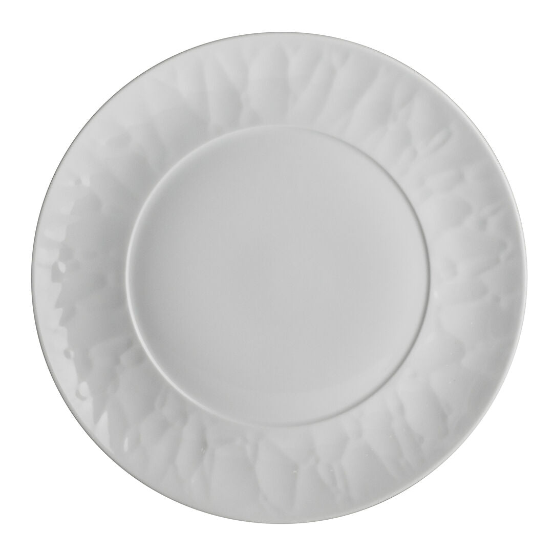 Atelier Plate 24.1cm (9 1/2") - Pack 24