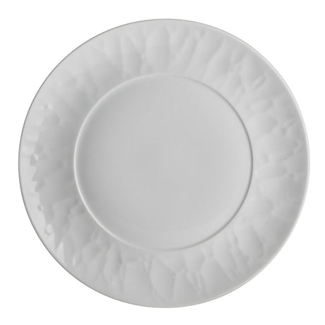 Atelier Plate 20.3cm (8") - Pack 36
