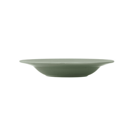 Concorde Fern Rim Soup Plate 24cm 31cl (9 1/2" 11oz) - Pack 12
