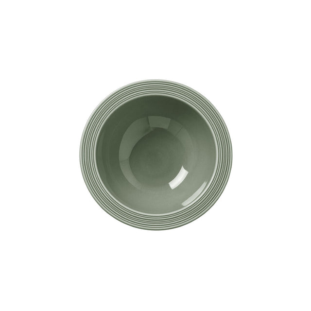 Concorde Fern Oatmeal Bowl 16.5cm 51.5cl (6 1/2" 18 1/9oz) - Pack 12