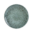 Stellar Coupe Plate 17cm/6½"