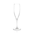 Invino Champagne Flute 8.5oz (24cl) - Pack 12