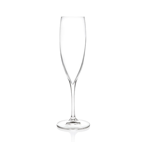 Invino Champagne Flute 8.5oz (24cl) - Pack 12