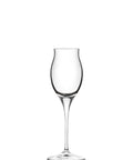 Invino Sherry Goblet 3.5oz (10cl) - Pack 12