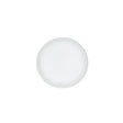 Frost Snipe Plate 15cm (6") - Pack 12