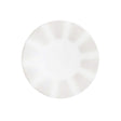 Quill Snipe Plate 22cm (8 3/4") - Pack 12