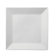 Titan Square Plate 10.5" (27cm)