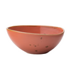 Earth Cinnamon Bowl 8.5" (21.5cm)