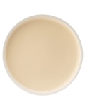 Forma Vanilla Plate 9.5" (24cm)
