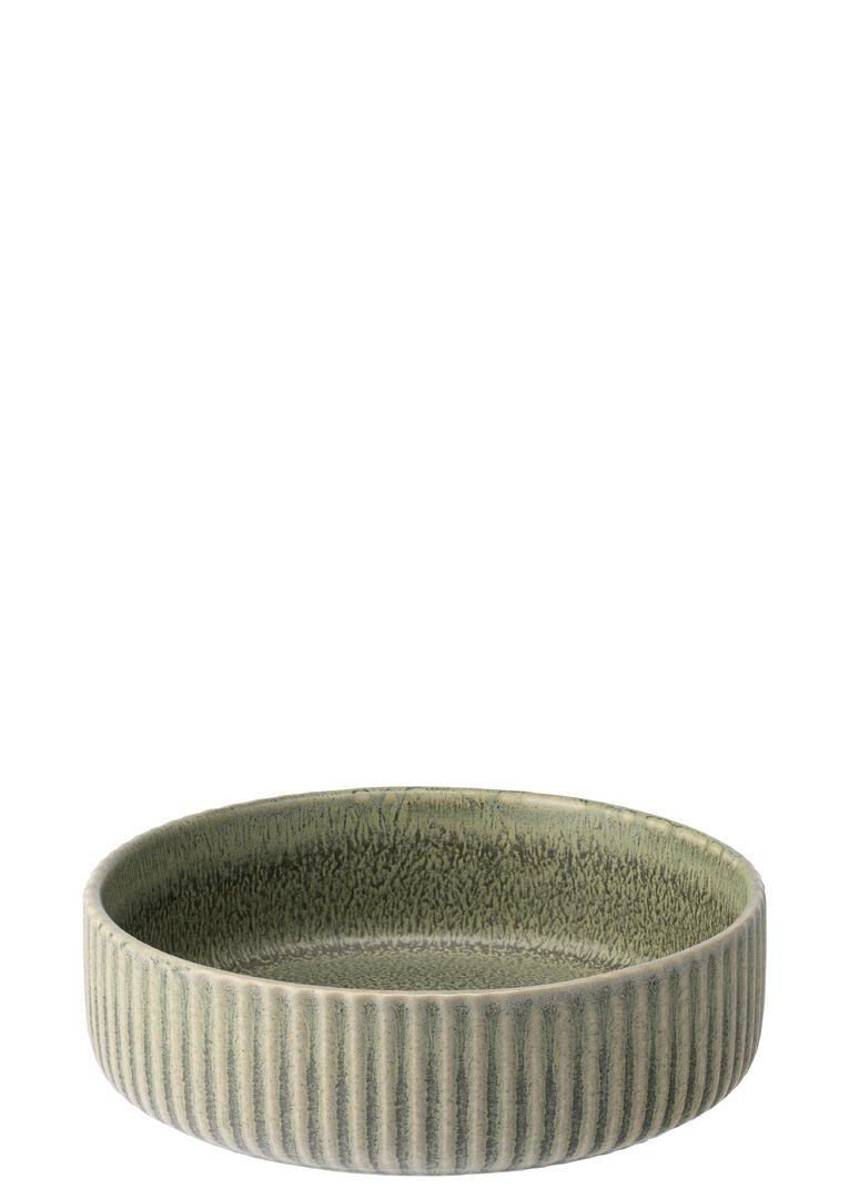 Corduroy Fern Shallow Bowl 5.75" (14.5cm) - Pack 6