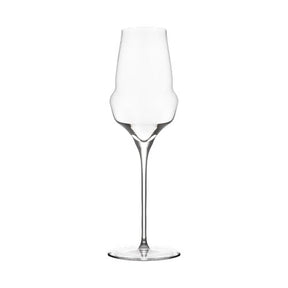 Cocoon Champagne Flute 340ml / 12oz - Pack 6