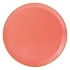 Coral-colored plate on a white background