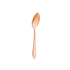 Rio Tea Spoon