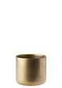Gold Artemis Double Wall Cup 3.25" (8.2cm) - Pack 6