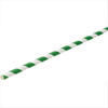 Paper Green Stripe Straw 8" (20cm)