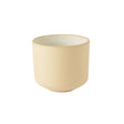 Oyster Deep Bowl 9cm/3.5" - Pack 6