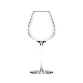 Fino Burgundy 807ml/28¼oz - Pack 6