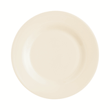 Intensity Plate 8" - 24 Pack