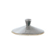 Spare Tea Pot Lid Storm