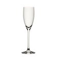Ratio Champagne Flute 5oz (15cl)