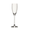 Ratio Champagne Flute 5oz (15cl)