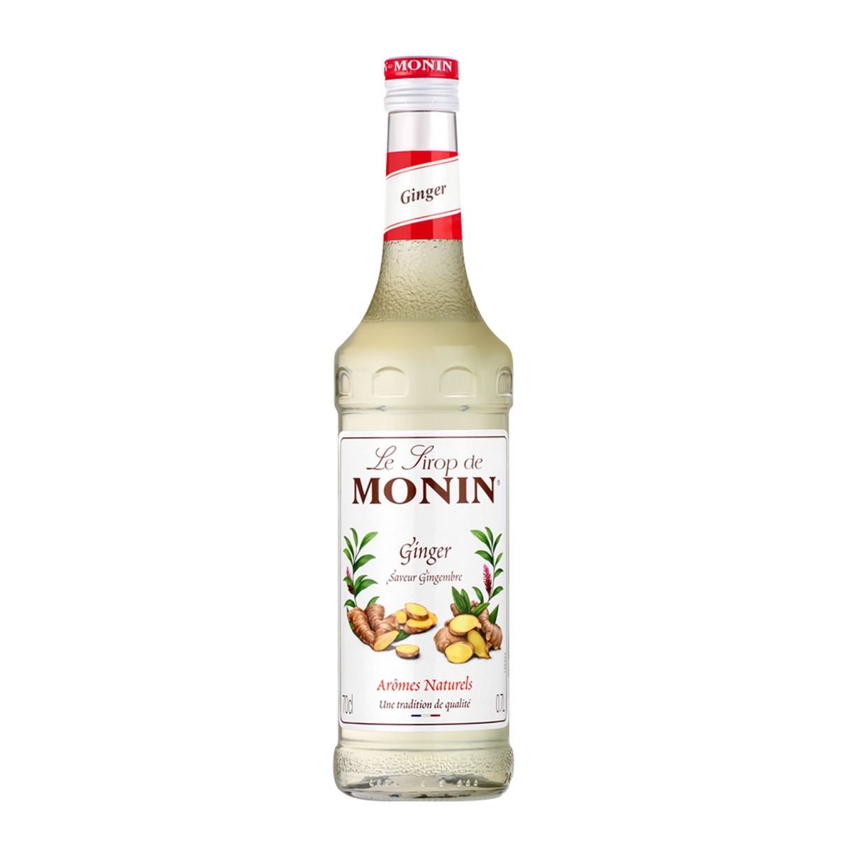 Monin ginger syrup bottle on a white background