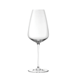 Stem Zero ION Shield Champagne 15.75oz (45cl)