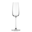 Mirage Champagne Flute 8.75oz (25cl)