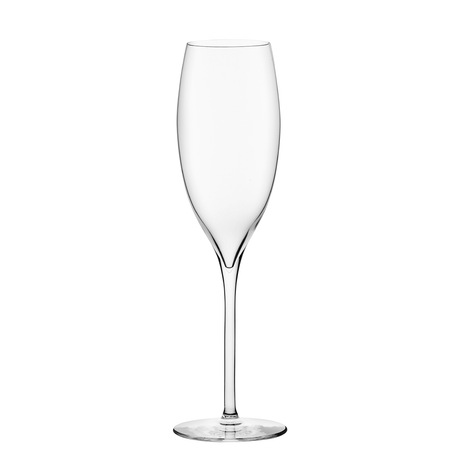 Terroir Champagne Flute 10.5oz (30cl)