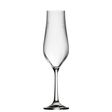 Tulipa Optic Flute 8oz (23cl)