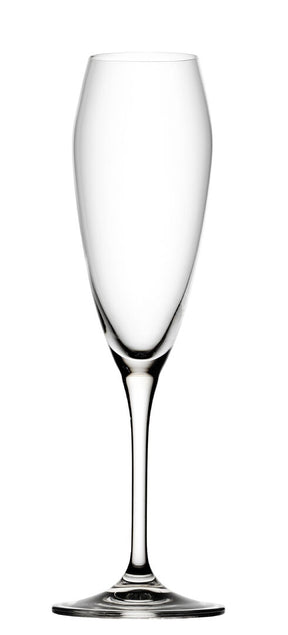 Bravissimo Flute 8.5oz (24cl) - Pack 6