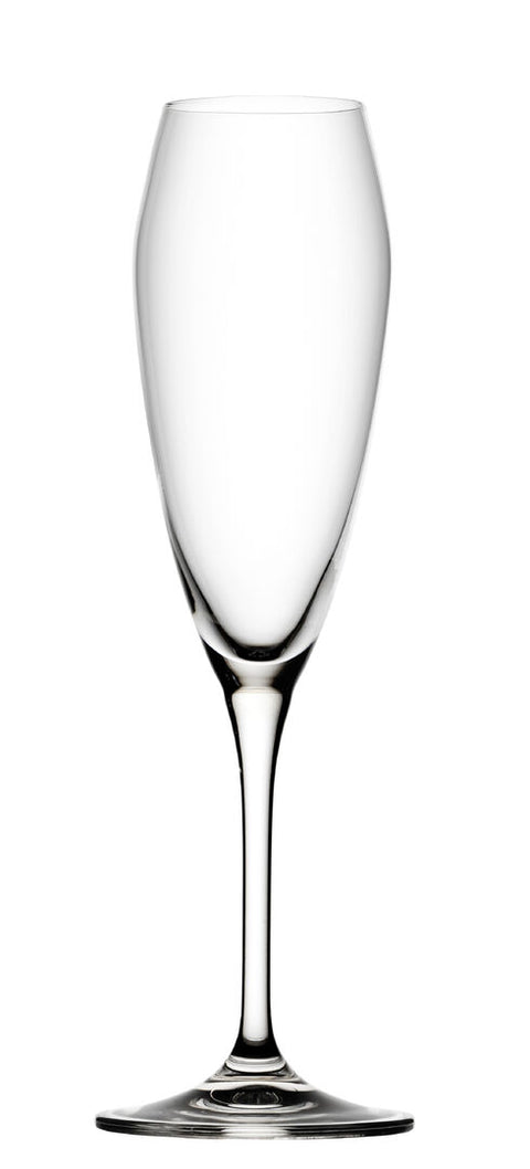 Bravissimo Flute 8.5oz (24cl) - Pack 6