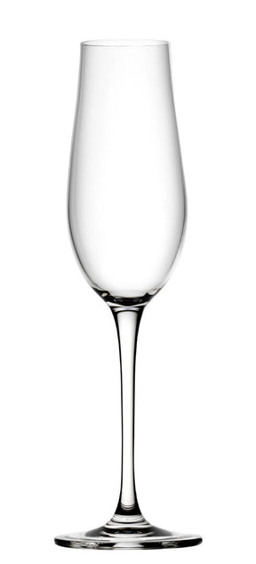 Tigris Flute 8.25oz (23.5cl) - Pack 6