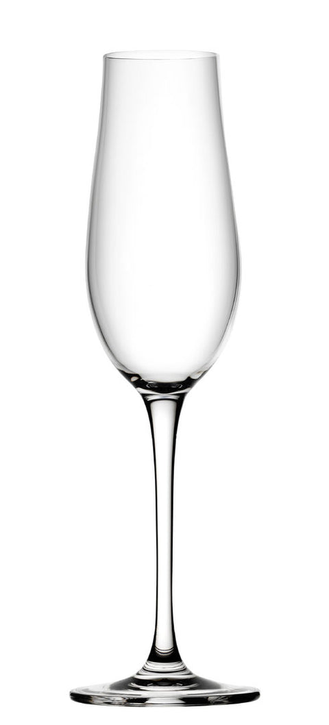 Tigris Flute 8.25oz (23.5cl) - Pack 6