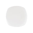 Square Plate 20cm/8"
