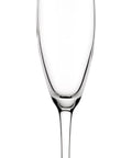 Xarel Flute 6oz(17cl) - Pack 12